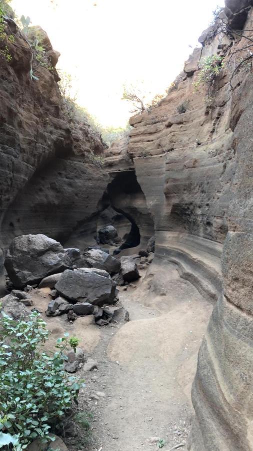 La Cuadra Finca El Calabres Agüimes Екстериор снимка