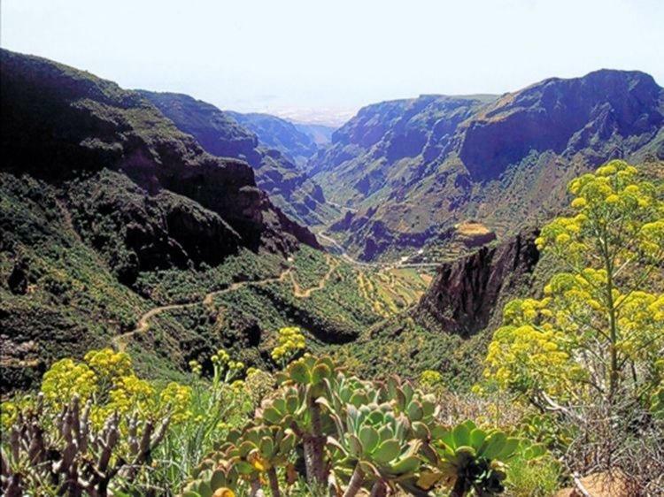 La Cuadra Finca El Calabres Agüimes Екстериор снимка